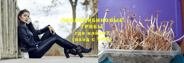 ПСИЛОЦИБИНОВЫЕ ГРИБЫ Баксан